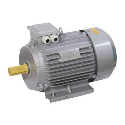 Электродвигатель 3-фазный асинхронный 5,5кВт 1000 об/мин. 380В IM1081 IP55 тип АД 132S6