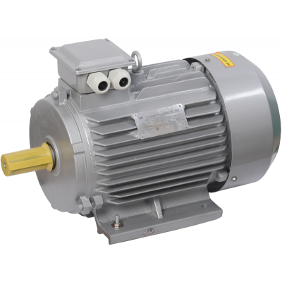 Электродвигатель 3-фазный асинхронный 5,5кВт 1000 об/мин. 380В IM1081 IP55 тип АД 132S6